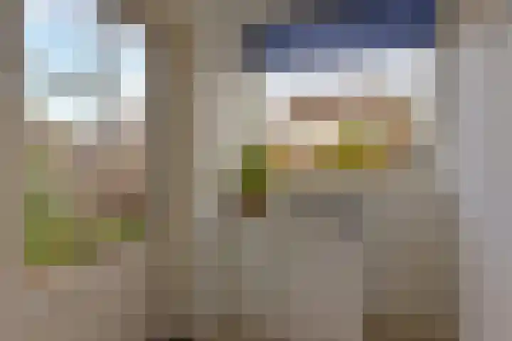 Zwaan 8 Mijdrecht thumbnail 11