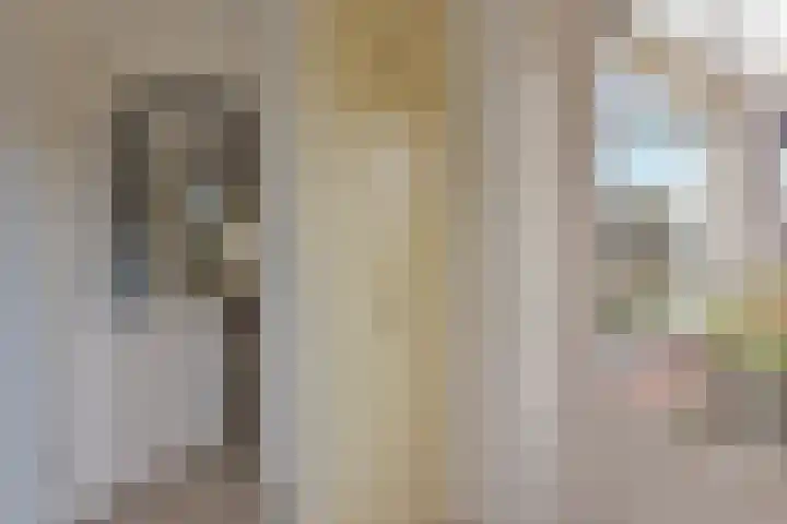 Zwaan 8 Mijdrecht thumbnail 12