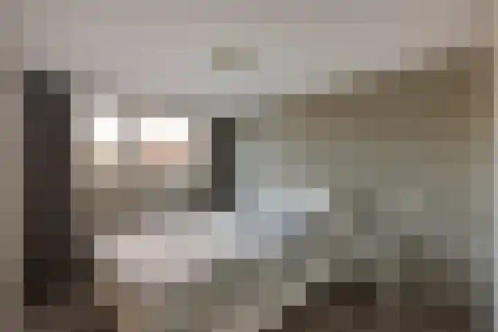 Zwaan 8 Mijdrecht thumbnail 16