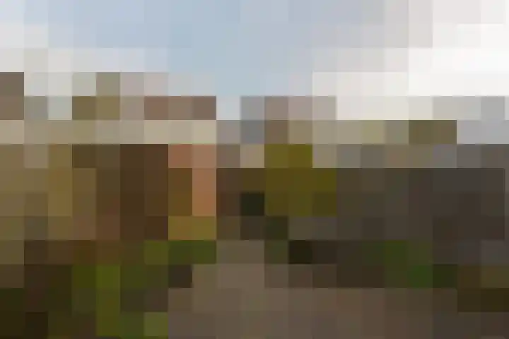 Zwaan 8 Mijdrecht thumbnail 24