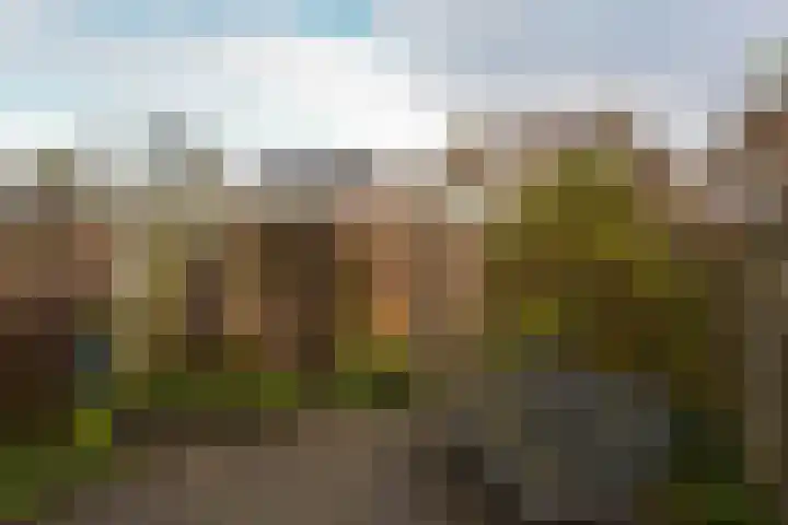 Zwaan 8 Mijdrecht thumbnail 25