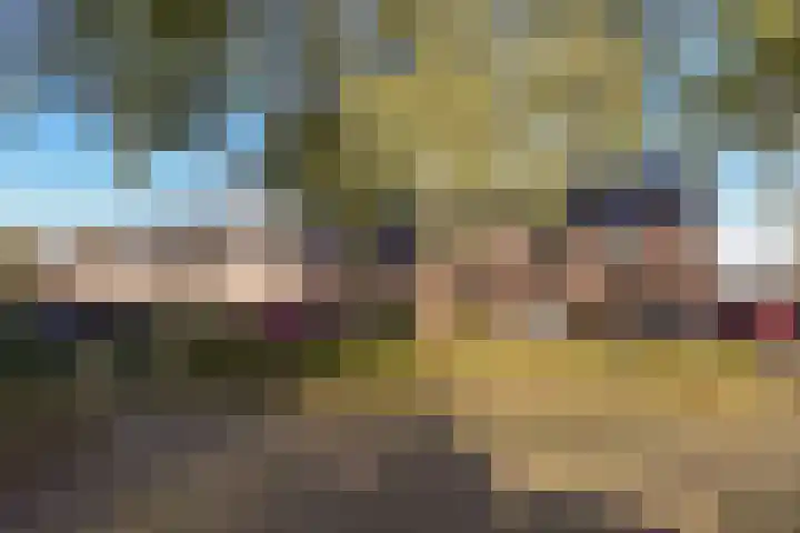 Zwaan 8 Mijdrecht thumbnail 30
