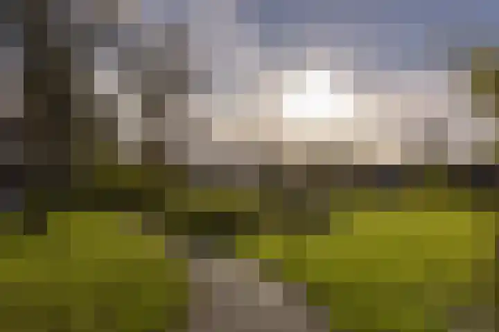 Zwaan 8 Mijdrecht thumbnail 31