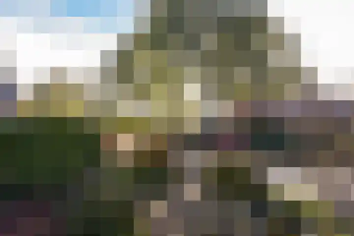 Zwaan 8 Mijdrecht thumbnail 32
