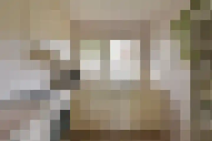 Zwaan 8 Mijdrecht thumbnail 7