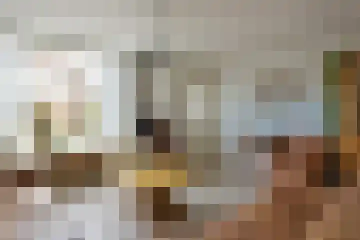 Zwaan 8 Mijdrecht thumbnail 9