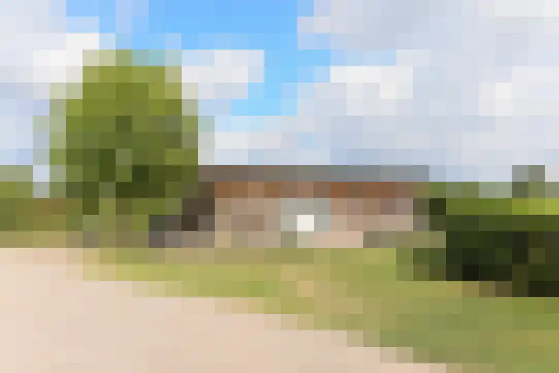 Zwaanen Heike 12 Lottum thumbnail 10