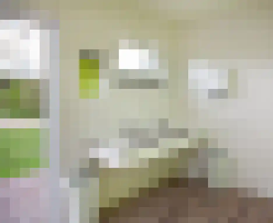 Zwaanen Heike 12 Lottum thumbnail 11
