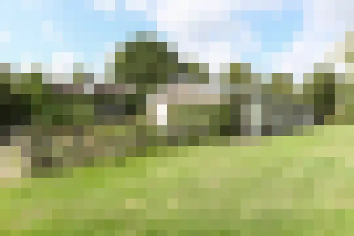 Zwaanen Heike 12 Lottum thumbnail 14