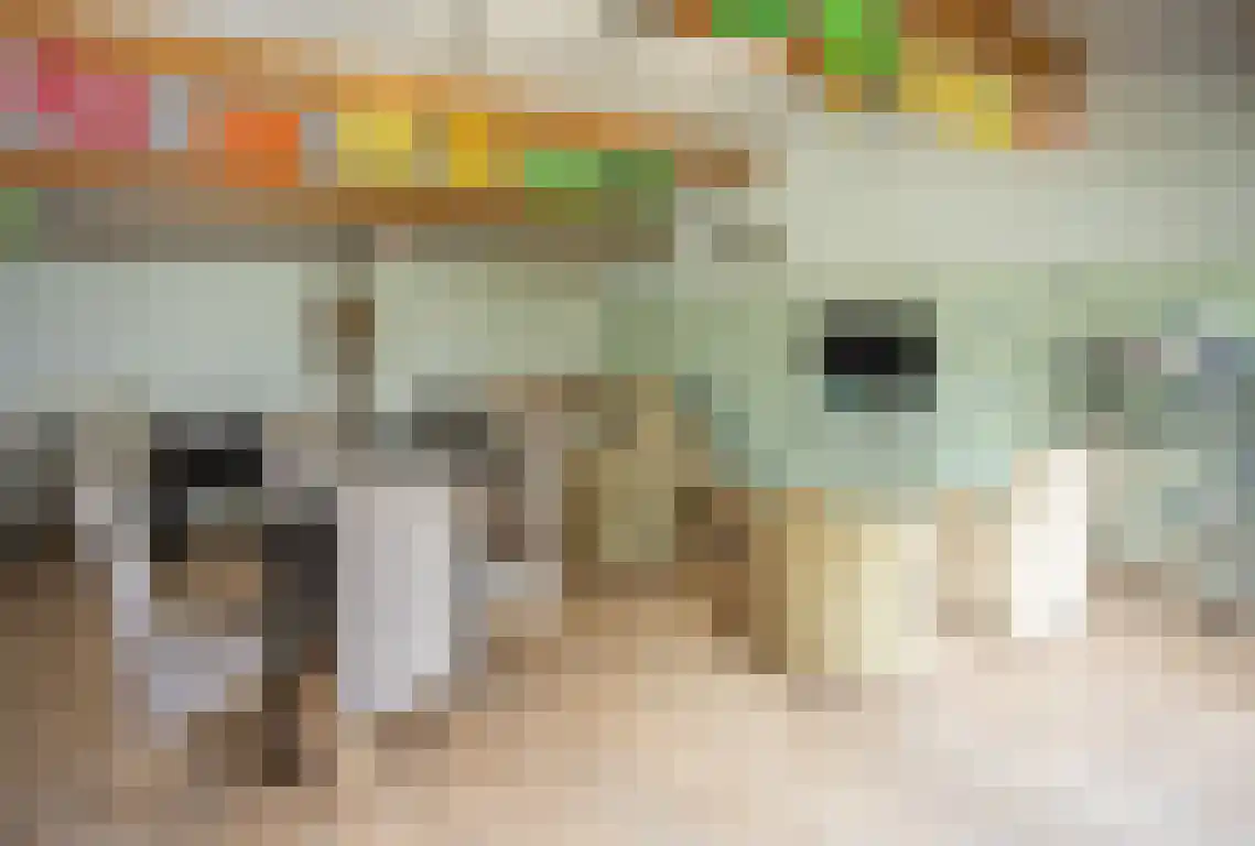 Zwaanen Heike 12 Lottum thumbnail 17