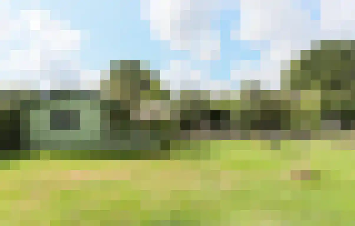 Zwaanen Heike 12 Lottum thumbnail 21