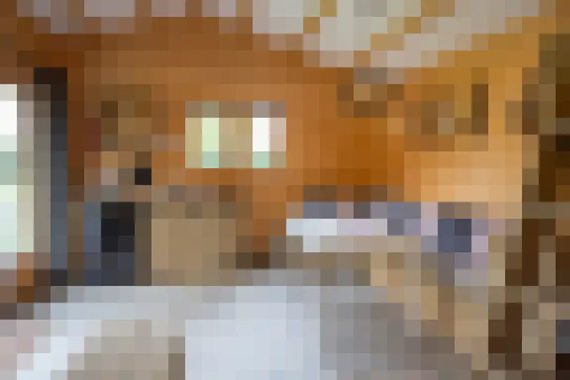 Zwaanen Heike 12 Lottum thumbnail 23