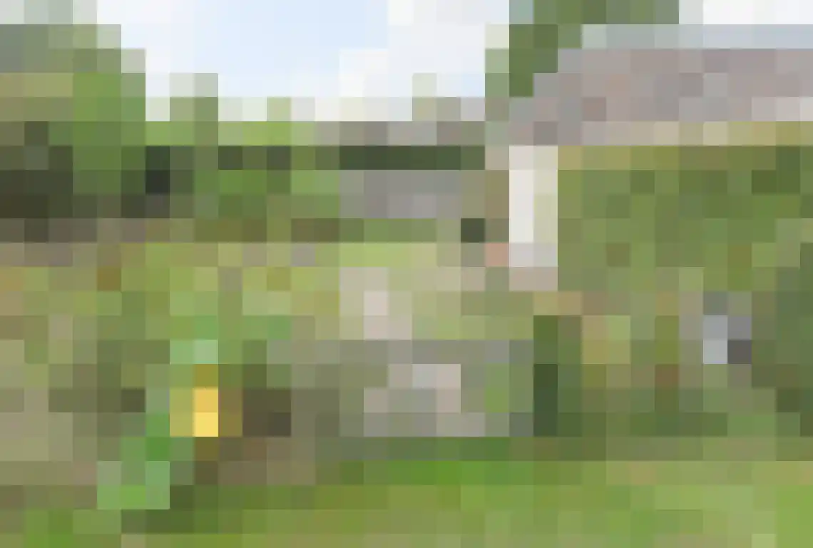 Zwaanen Heike 12 Lottum thumbnail 24