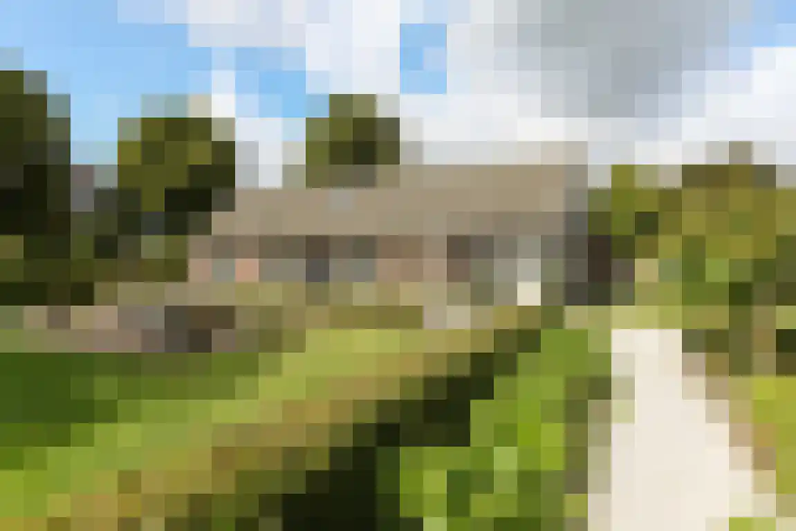 Zwaanen Heike 12 Lottum thumbnail 25
