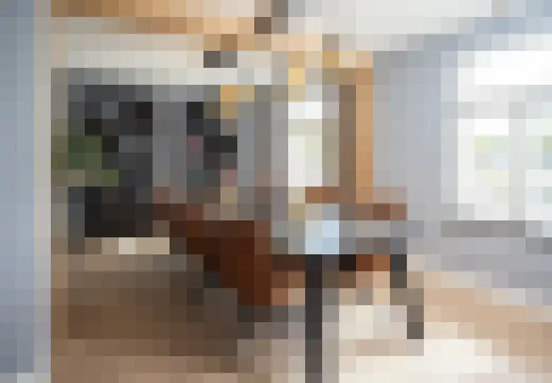 Zwaanen Heike 12 Lottum thumbnail 29
