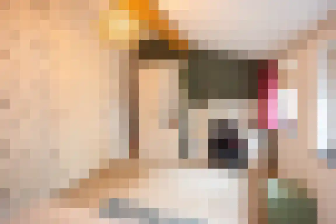 Zwaanen Heike 12 Lottum thumbnail 37