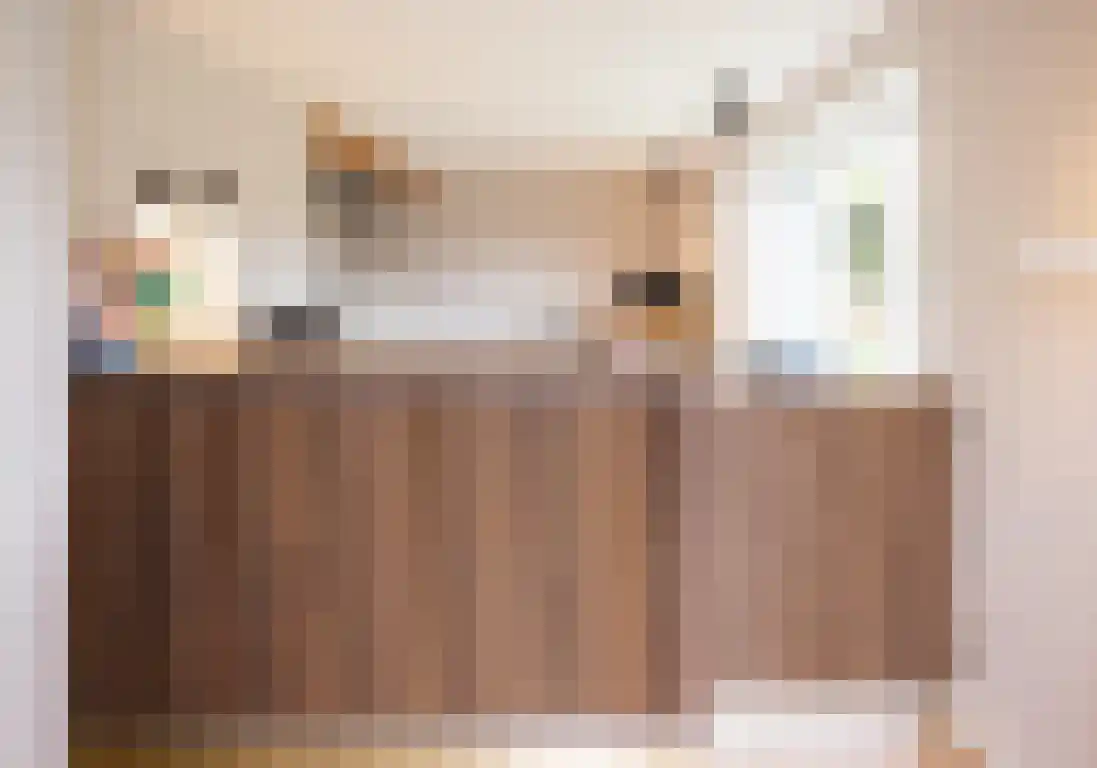 Zwaanen Heike 12 Lottum thumbnail 40