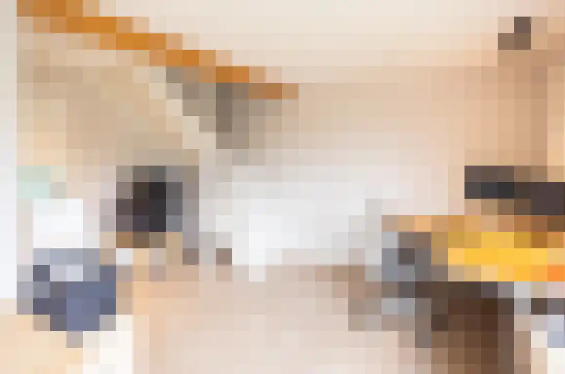 Zwaanen Heike 12 Lottum thumbnail 41