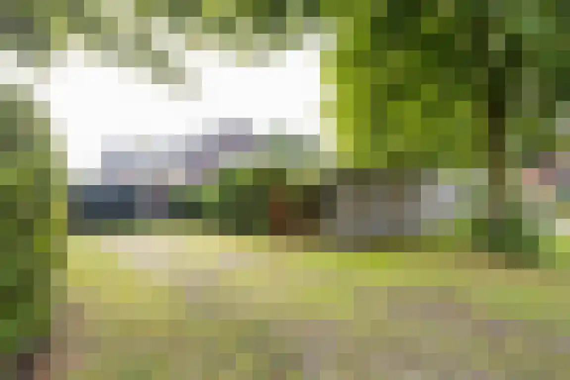 Zwaanen Heike 12 Lottum thumbnail 43