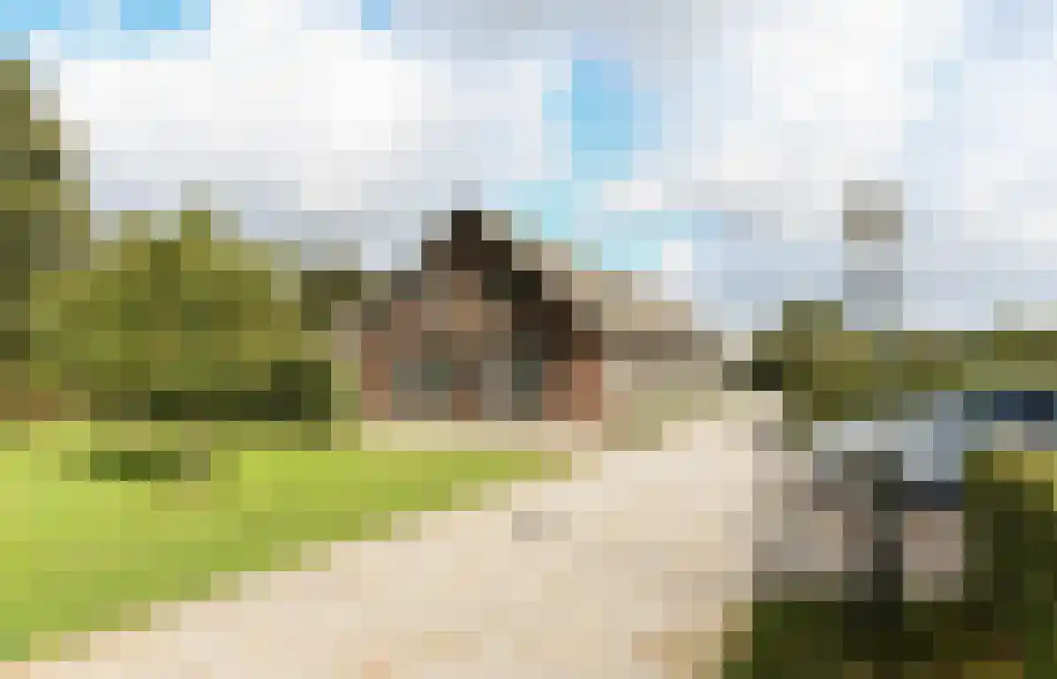 Zwaanen Heike 12 Lottum thumbnail 49