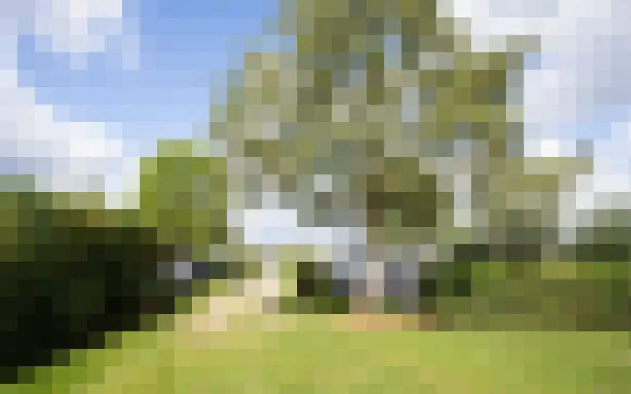 Zwaanen Heike 12 Lottum thumbnail 7