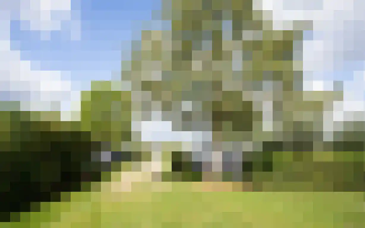 Zwaanen Heike 12 Lottum thumbnail 8