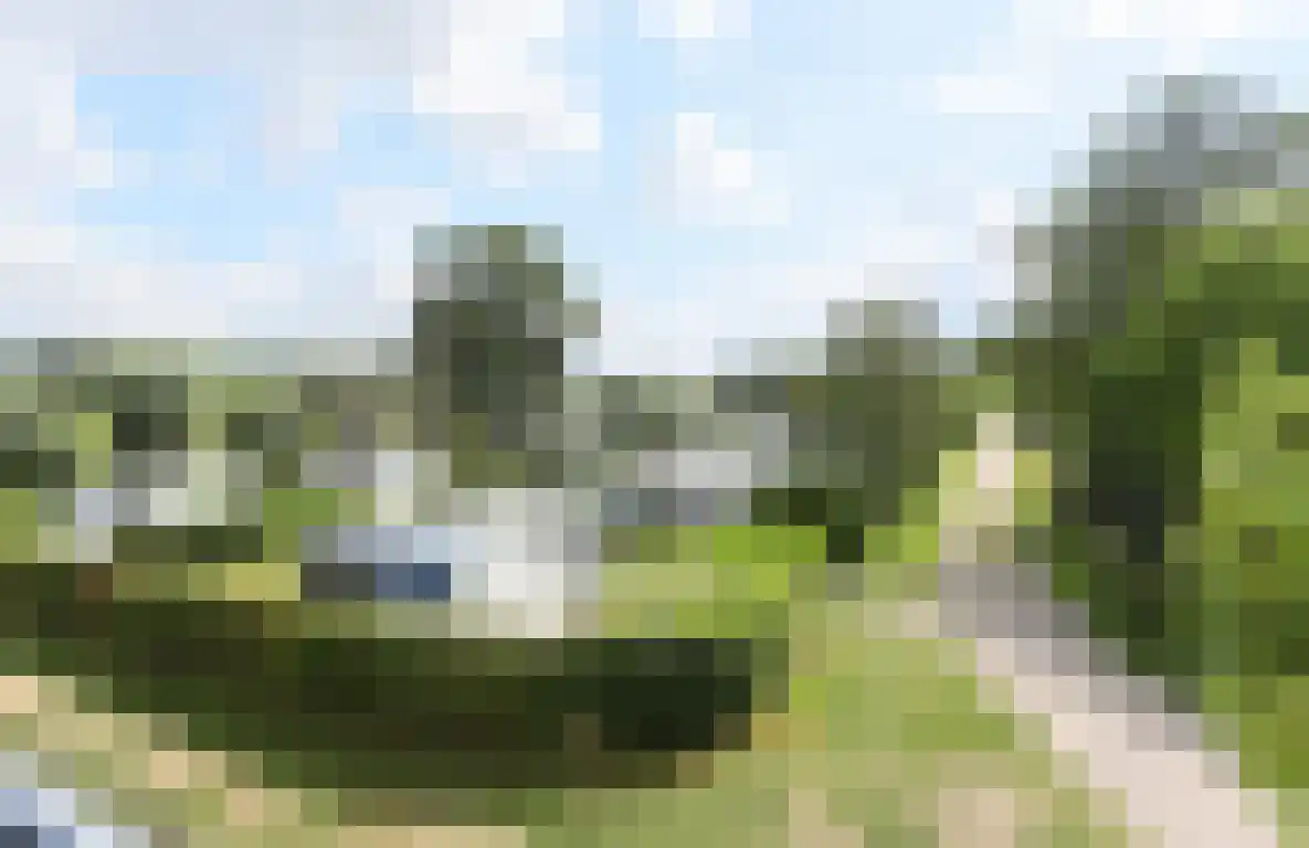 Zwaanen Heike 12 Lottum thumbnail 9