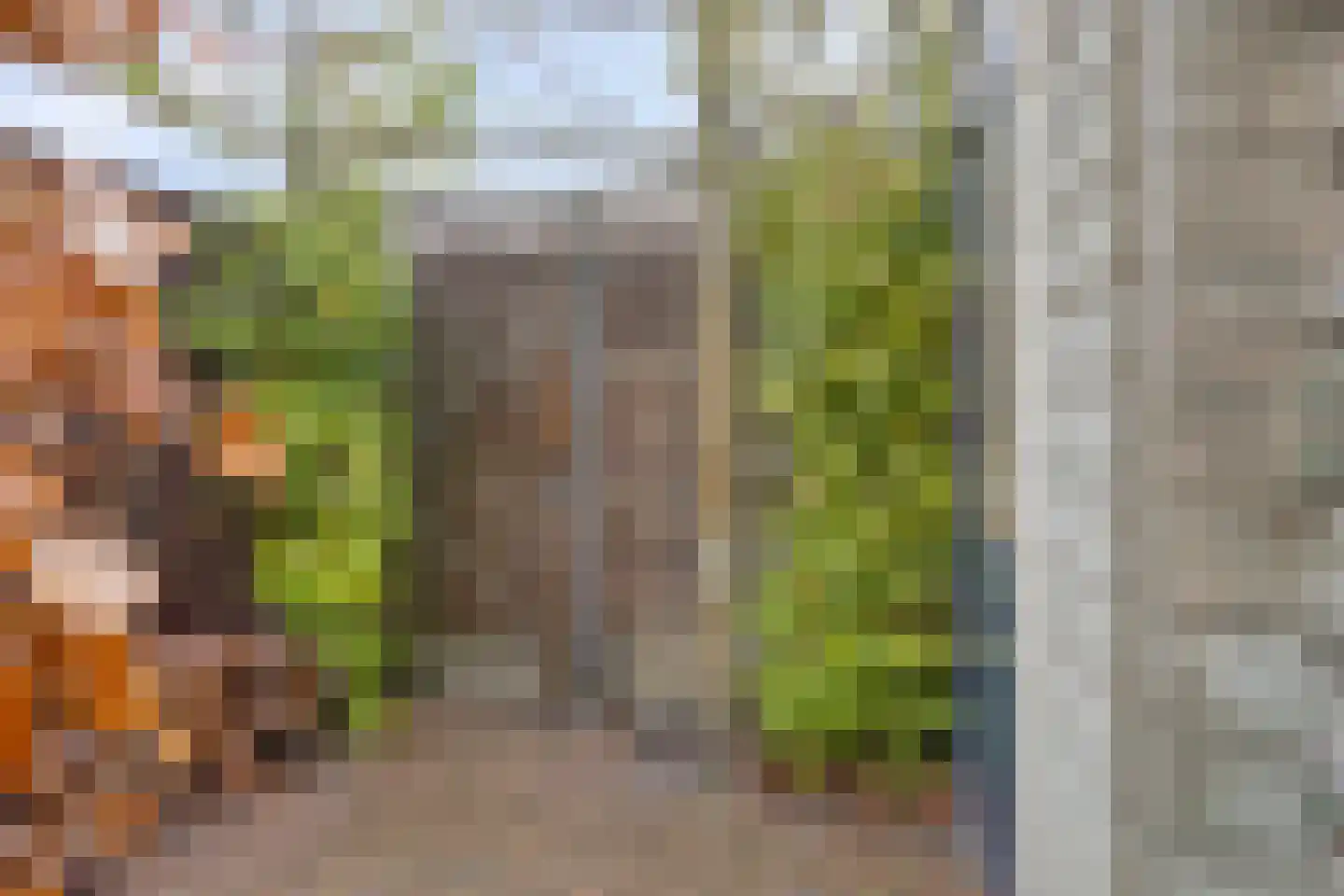 Zwaanhil 13 Bergen op Zoom thumbnail 31