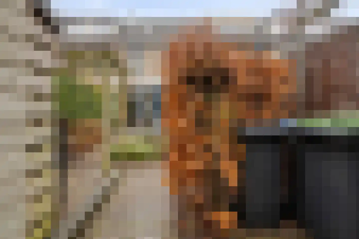 Zwaanhil 13 Bergen op Zoom thumbnail 32