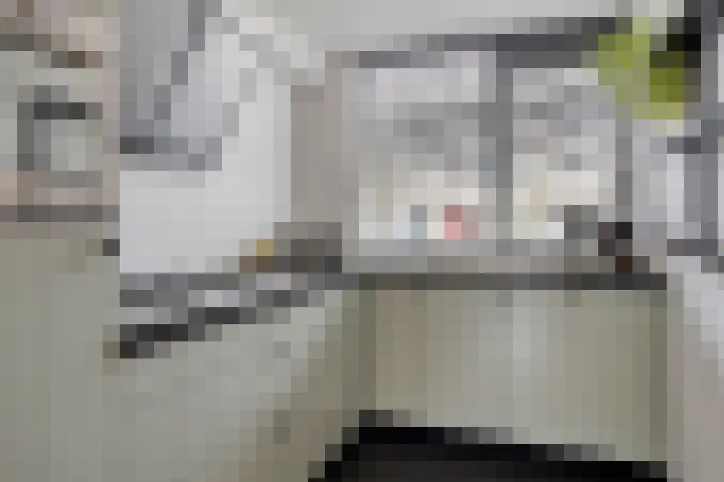Zwaanhil 13 Bergen op Zoom thumbnail 4