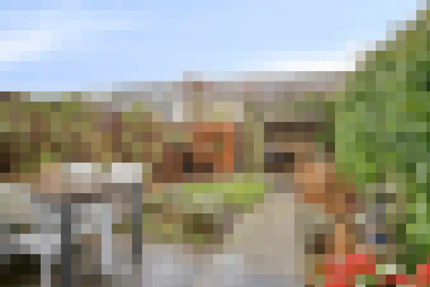 Zwaanhil 13 Bergen op Zoom thumbnail 5