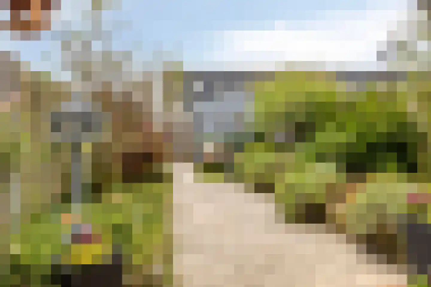 Zwaanhil 20 Bergen op Zoom thumbnail 21