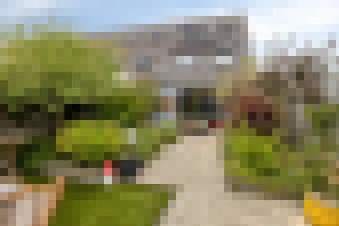 Zwaanhil 20 Bergen op Zoom thumbnail 4