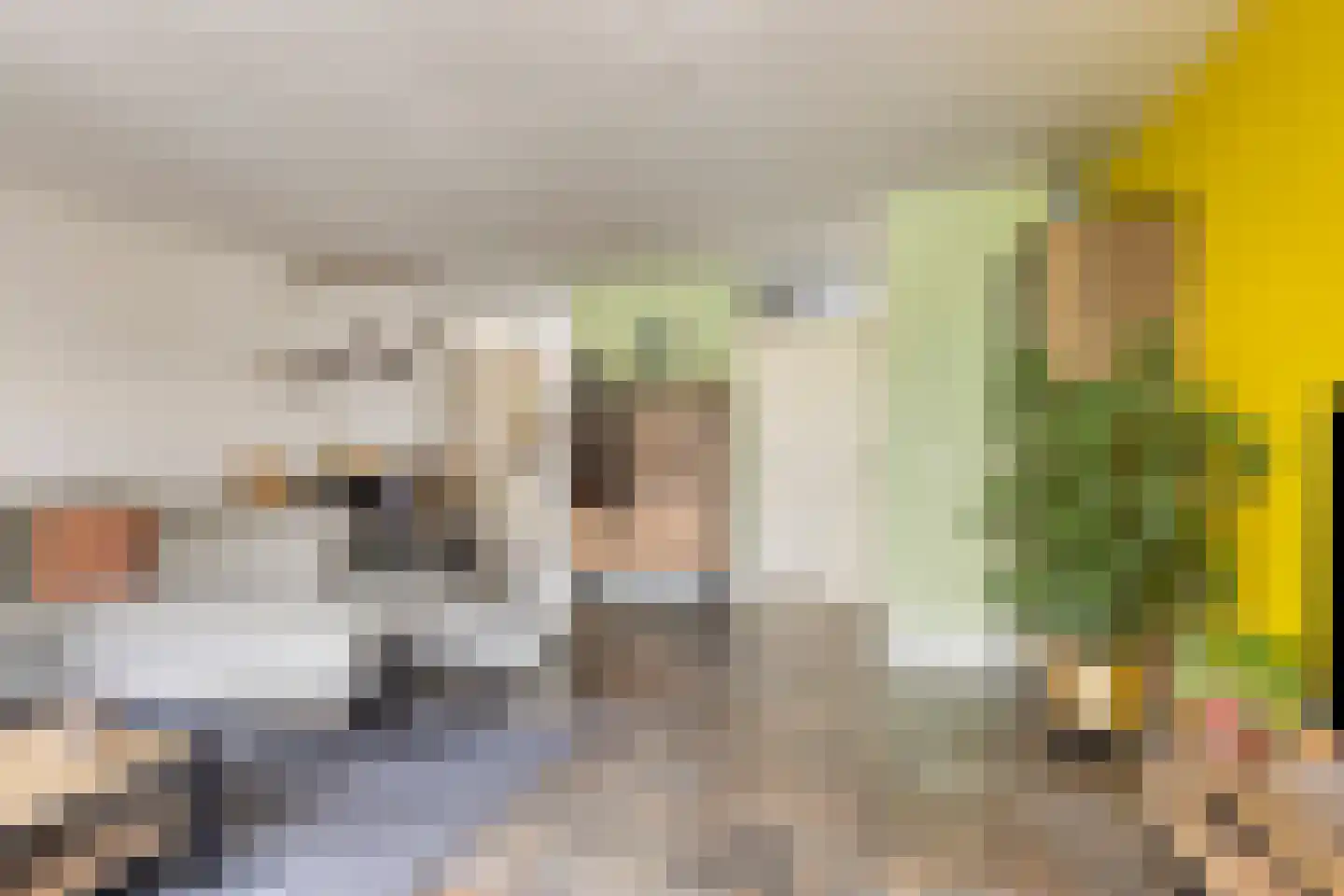 Zwaanhil 20 Bergen op Zoom thumbnail 9