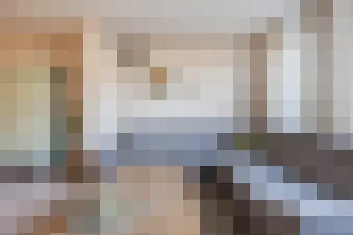 Zwaanhil 3 Bergen op Zoom thumbnail 13