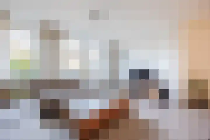 Zwaanhil 3 Bergen op Zoom thumbnail 15
