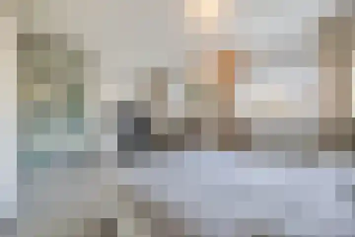 Zwaanhil 3 Bergen op Zoom thumbnail 24