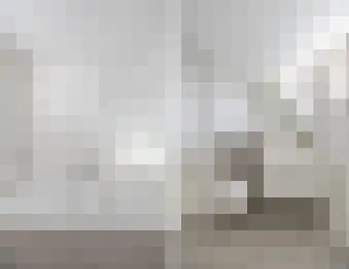 Zwaanhil 3 Bergen op Zoom thumbnail 31