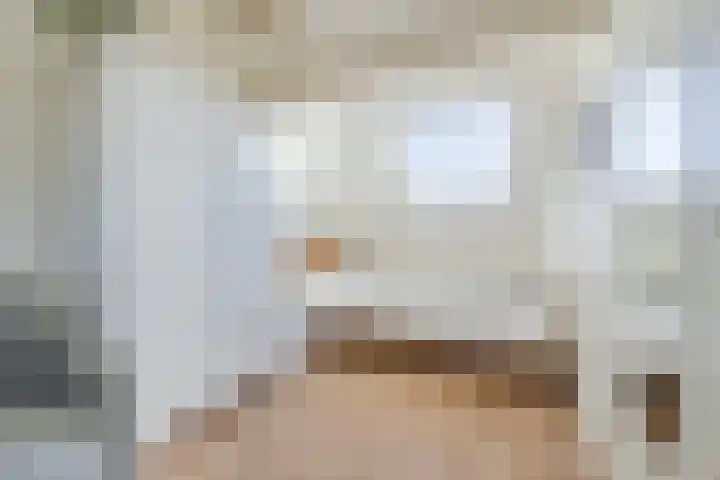 Zwaanhil 3 Bergen op Zoom thumbnail 35