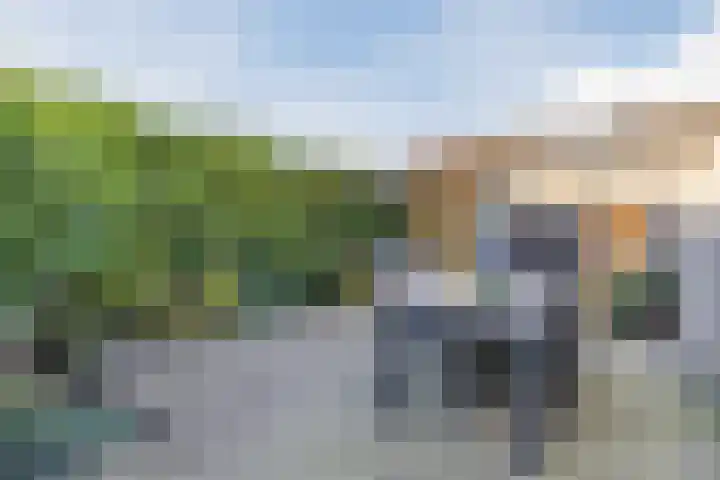 Zwaanhil 3 Bergen op Zoom thumbnail 36