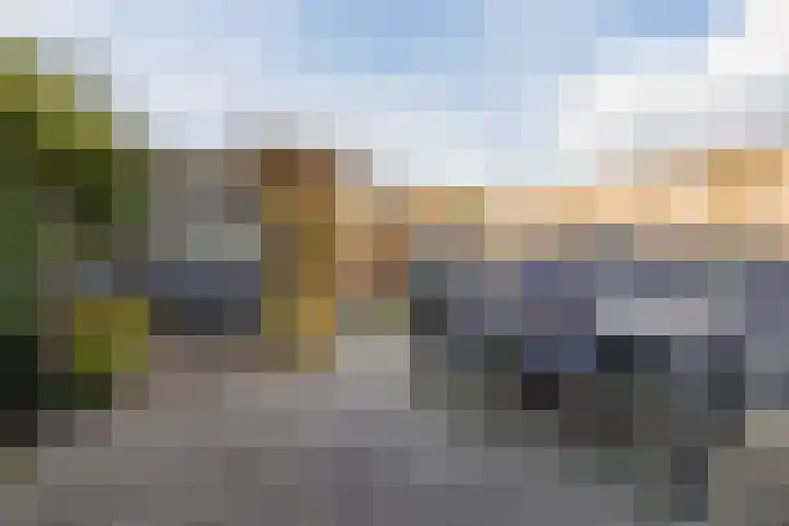 Zwaanhil 3 Bergen op Zoom thumbnail 37