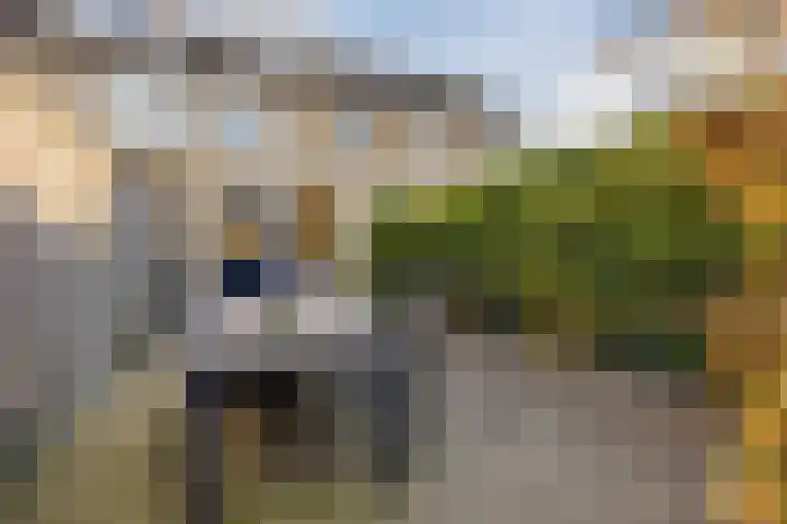 Zwaanhil 3 Bergen op Zoom thumbnail 38