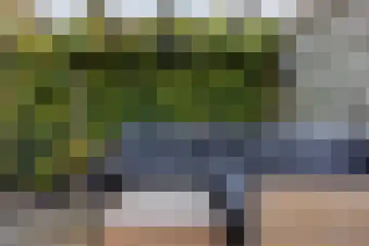 Zwaanhil 3 Bergen op Zoom thumbnail 39