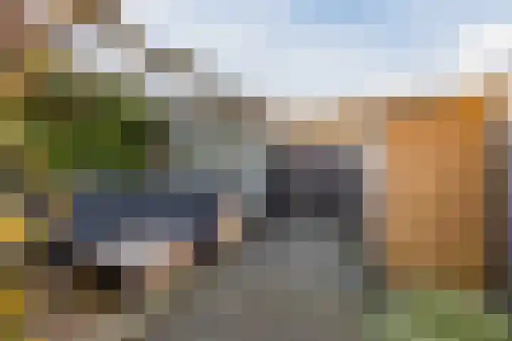 Zwaanhil 3 Bergen op Zoom thumbnail 40