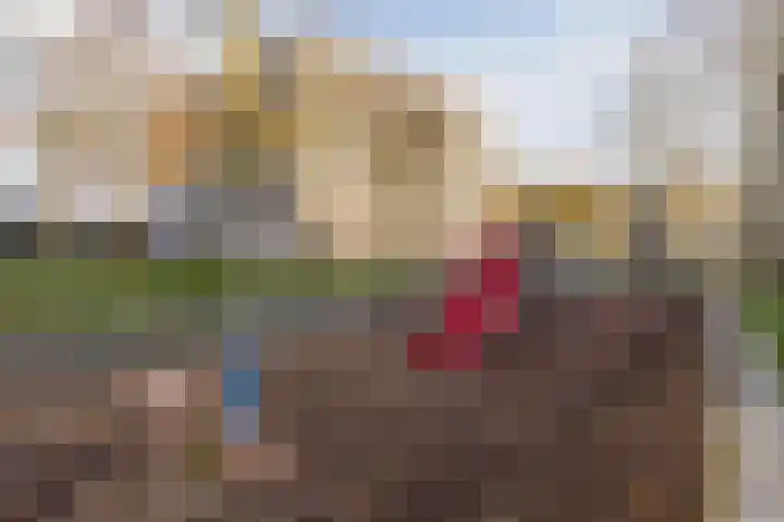 Zwaanhil 3 Bergen op Zoom thumbnail 42