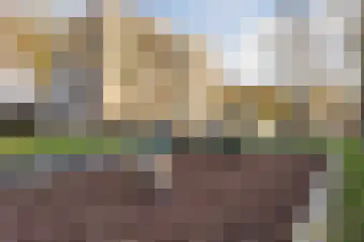 Zwaanhil 3 Bergen op Zoom thumbnail 43