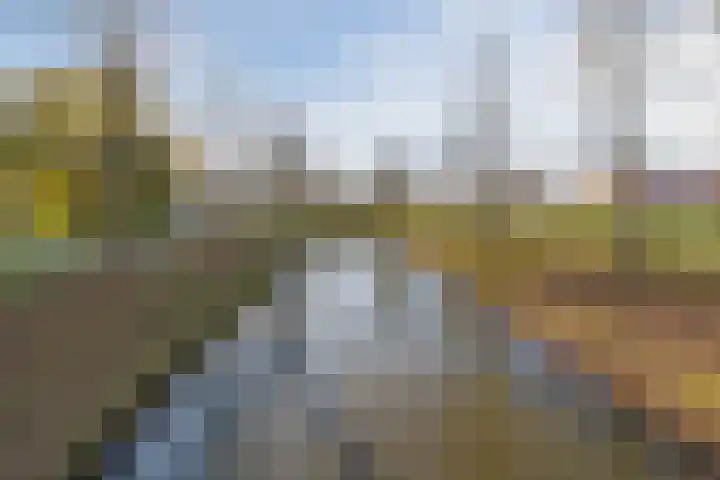 Zwaanhil 3 Bergen op Zoom thumbnail 44