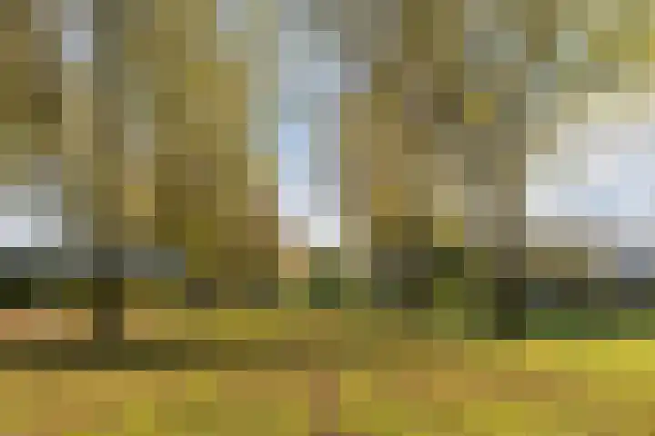 Zwaanhil 3 Bergen op Zoom thumbnail 46
