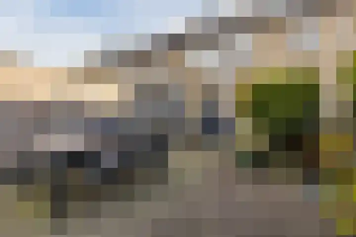 Zwaanhil 3 Bergen op Zoom thumbnail 5