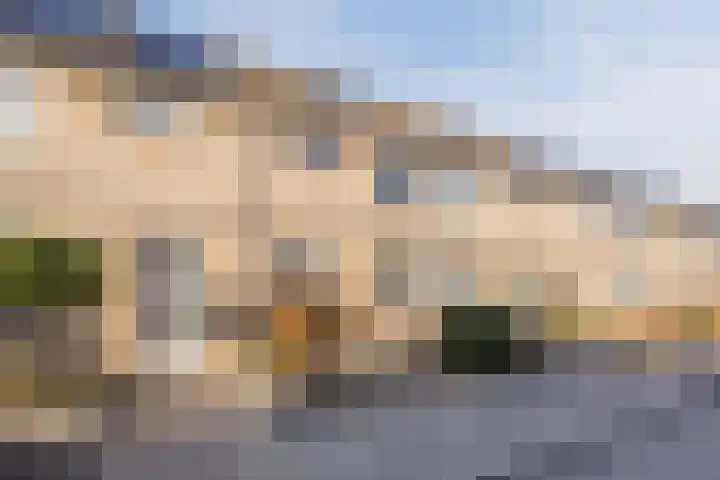 Zwaanhil 3 Bergen op Zoom thumbnail 7
